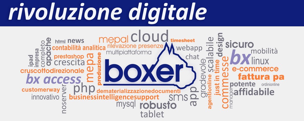 boxer-sistemisrl